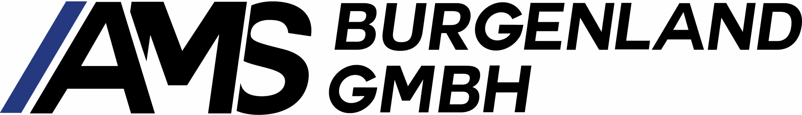AMS BURGENLAND GMBH